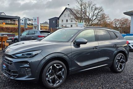 Cupra Terramar Gebrauchtwagen