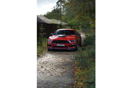 Ford Mustang Gebrauchtwagen