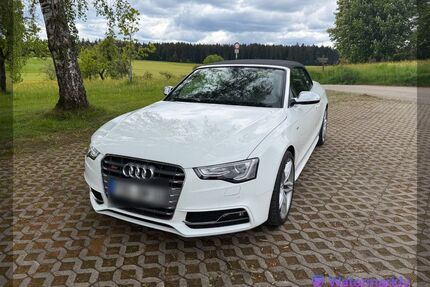 Audi S5 Gebrauchtwagen