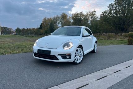 VW Beetle Gebrauchtwagen