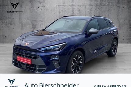 Cupra Terramar Gebrauchtwagen