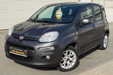 Fiat Panda Gebrauchtwagen
