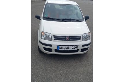Fiat Panda Gebrauchtwagen