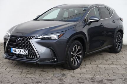 Lexus NX 350h Gebrauchtwagen