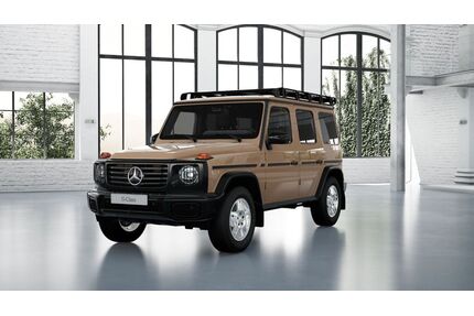 Mercedes-Benz G 450 Gebrauchtwagen