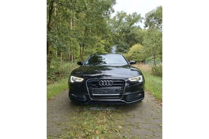 Audi A5 Gebrauchtwagen