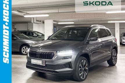 Skoda Karoq Gebrauchtwagen