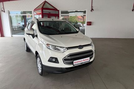 Ford EcoSport Gebrauchtwagen