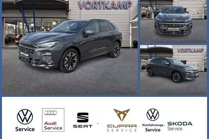Cupra Terramar Gebrauchtwagen