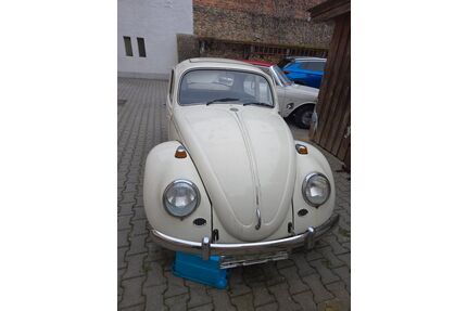 VW Käfer Gebrauchtwagen