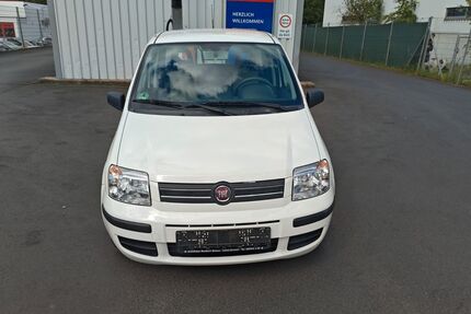 Fiat Panda Gebrauchtwagen