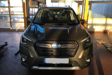 Subaru Forester Gebrauchtwagen