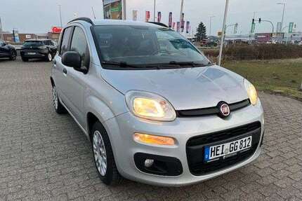 Fiat Panda Gebrauchtwagen