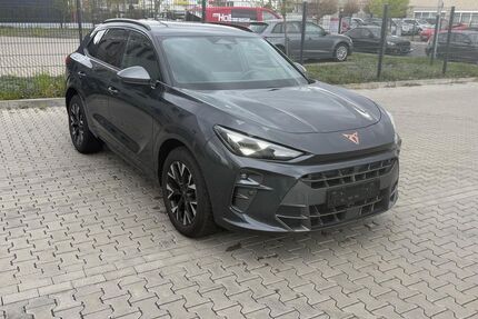 Cupra Terramar Gebrauchtwagen