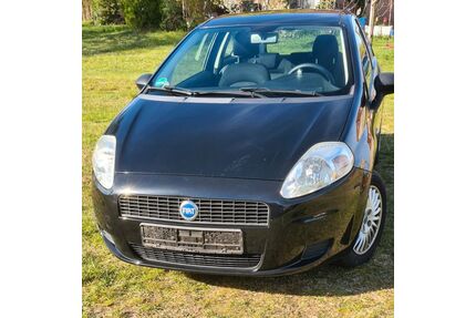 Fiat Punto Gebrauchtwagen