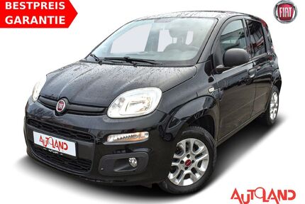 Fiat Panda Gebrauchtwagen