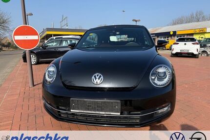 VW Beetle Gebrauchtwagen