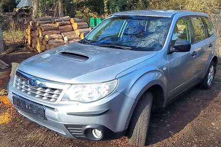 Mini Forester 