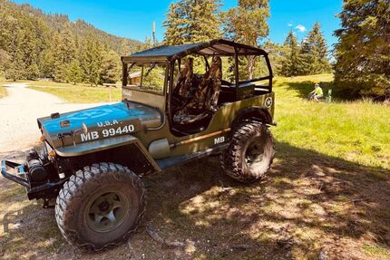 Jeep Willys Oldtimer
