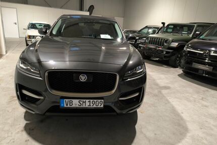Jaguar F-Pace Gebrauchtwagen
