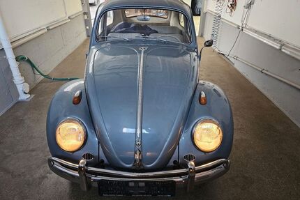 VW Käfer Gebrauchtwagen