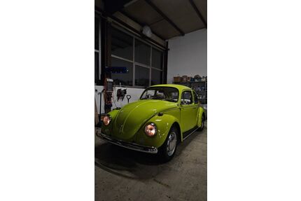 VW Käfer Gebrauchtwagen