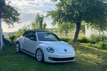 VW Beetle Gebrauchtwagen