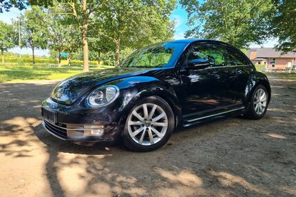 VW Beetle Gebrauchtwagen