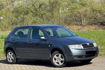 Skoda Fabia Gebrauchtwagen