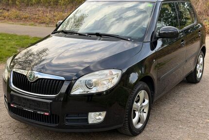 Skoda Fabia Gebrauchtwagen