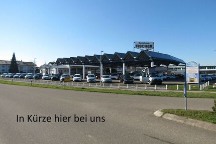 VW Golf Plus Gebrauchtwagen