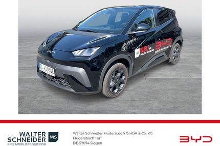 BYD DOLPHIN Gebrauchtwagen