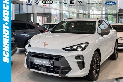 Cupra Terramar Gebrauchtwagen