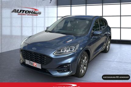 Ford Kuga Gebrauchtwagen