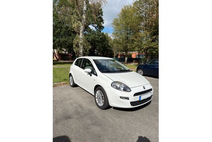 Fiat Punto Gebrauchtwagen