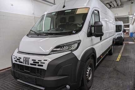 Fiat Ducato Gebrauchtwagen