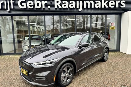 Ford Mustang Mach-E Gebrauchtwagen