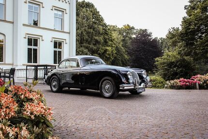 Jaguar XK Gebrauchtwagen