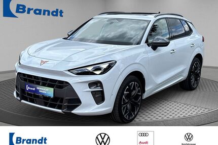 Cupra Terramar Gebrauchtwagen