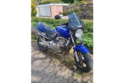 Honda Hornet Gebrauchtwagen