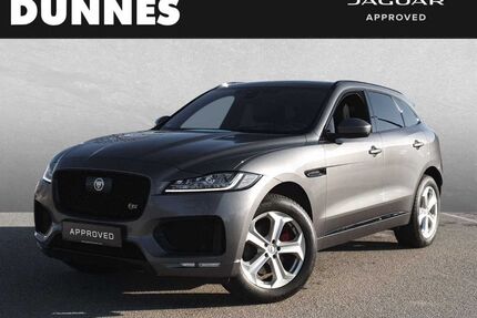 Jaguar F-Pace Gebrauchtwagen