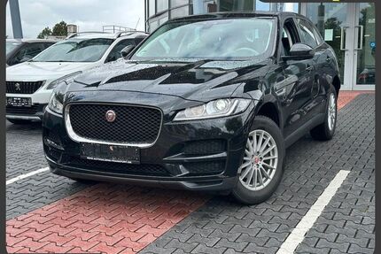 Jaguar F-Pace Gebrauchtwagen