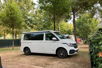 VW T6 andere Gebrauchtwagen