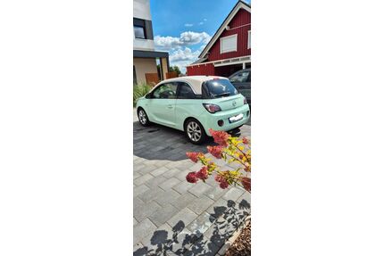 Opel Adam Gebrauchtwagen
