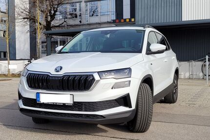 Skoda Karoq Gebrauchtwagen