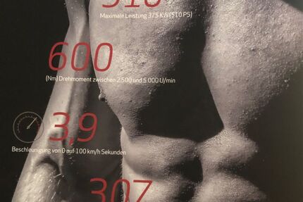 Alfa Romeo Giulia Gebrauchtwagen