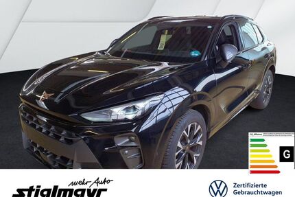 Cupra Terramar Gebrauchtwagen