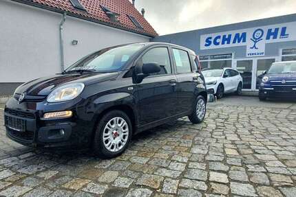 Fiat Panda Gebrauchtwagen