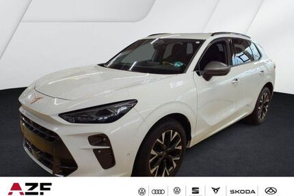 Cupra Terramar Gebrauchtwagen