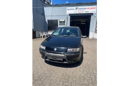 Fiat Punto Gebrauchtwagen